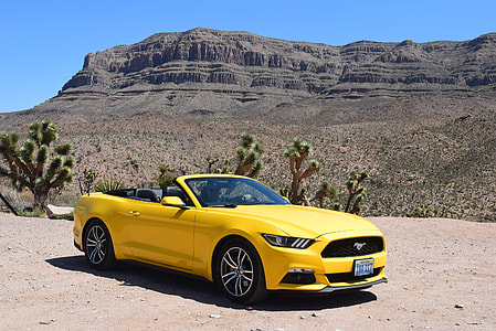 yellow Ford Mustang convertible coupe thumbnail