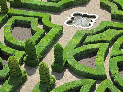 aerial photography of puzzle topiary plants at daytime thumbnail