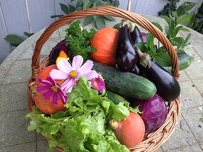 vegetable basket on table near potted plant thumbnail