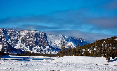 Photography of Mountains Near Woods during Winter thumbnail