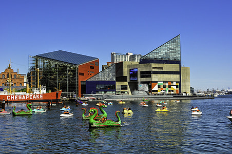 National Aquarium in Baltimore, Maryland thumbnail