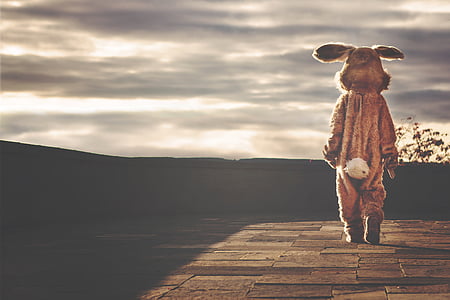 person wearing bunny mascot standing on pavement at daytime thumbnail