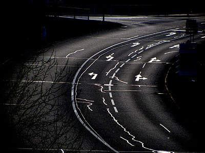 road near bear trees thumbnail