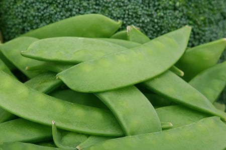 appetite, beans, broccoli, brocoli broccolli, calories, catering thumbnail