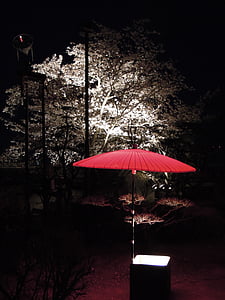 red parasol beside wooden table near trees at night time thumbnail
