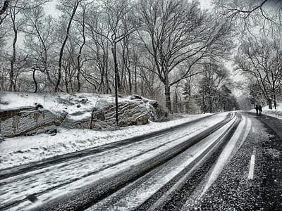 Snowy Road during Daytime thumbnail