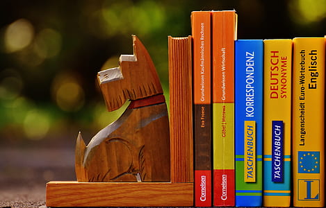 shallow focus photography of brown wooden dog bookends thumbnail