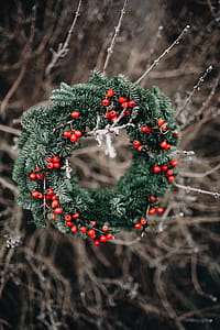 A Very Merry Fresh Holly Wreath for Christmas thumbnail