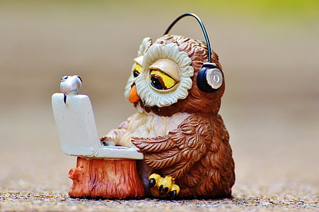 closeup photography of brown owl wearing headphones using laptop figurine thumbnail