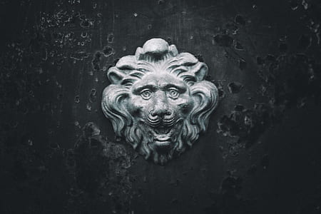 gray concrete animal wall-mounted decor thumbnail