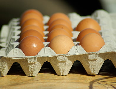 brown eggs in the tray thumbnail