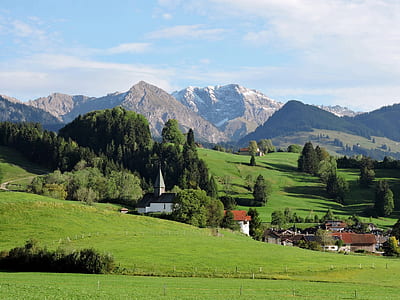 grass field with trees and mountain thumbnail