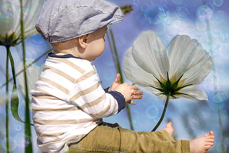 boy sitting near flower painting thumbnail