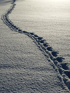 continious tracks on gray sand thumbnail