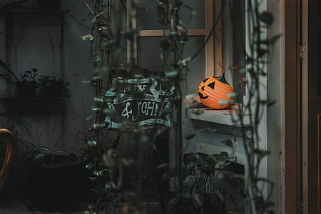 jack-o'-lantern on open window thumbnail