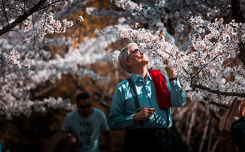 shallow focus photography of man looking up to sakura tree thumbnail