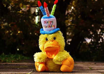 duckling with happy birthday hat plush toy during day thumbnail