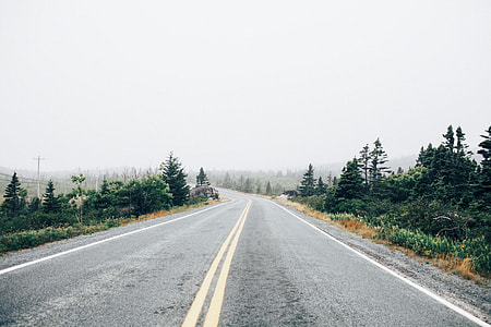 empty road with green trees thumbnail