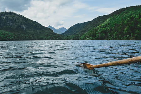 brown oar paddling on ocean in front of green island thumbnail