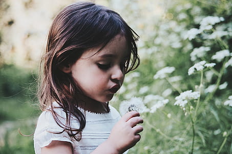 girl in white and gray striped holding white dandelion during daytime thumbnail
