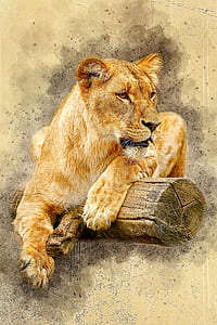 illustration of brown lioness lying on brown log thumbnail