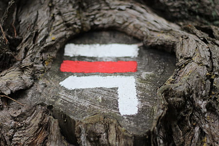 red and white paint thumbnail