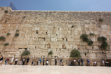 Wall Biography thumbnail