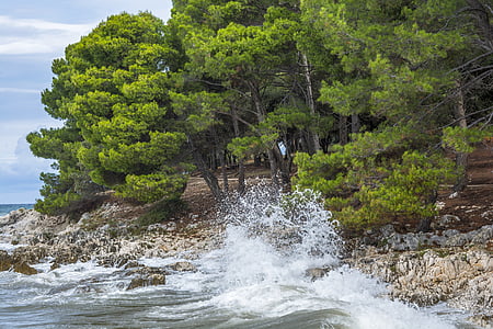 sea waves crashing on gray rocks near green trees thumbnail
