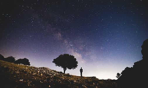 silhouette of man beside tree thumbnail