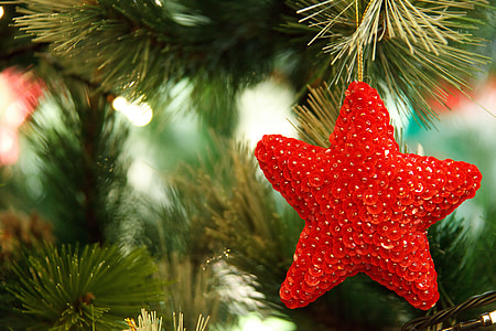 star shape red ornament thumbnail