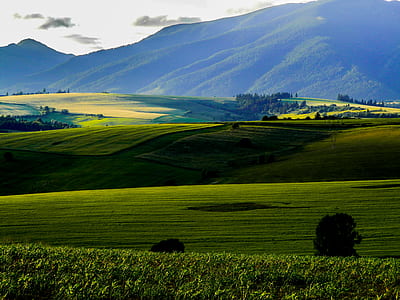 digital wallpaper of green fields thumbnail