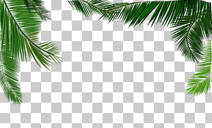 Coconut milk Leaf Euclidean , texture coconut leaves material, low angle photography of palm leaf under calming sky PNG clipart