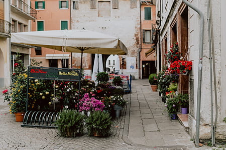 Flower shop in Castelfranco Veneto, Italy thumbnail