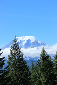 green pine trees and snow mountain range thumbnail