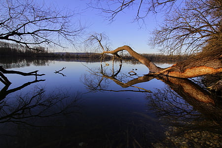 body of water during daytime thumbnail