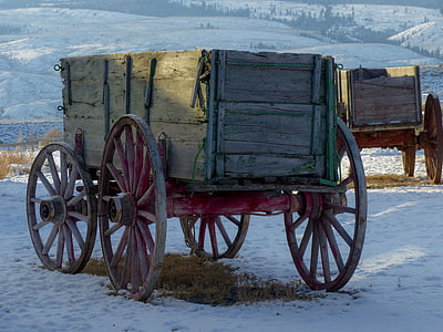 brown wooden horse carriage on ice ground thumbnail