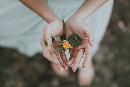 person holding orange and yellow flowers thumbnail