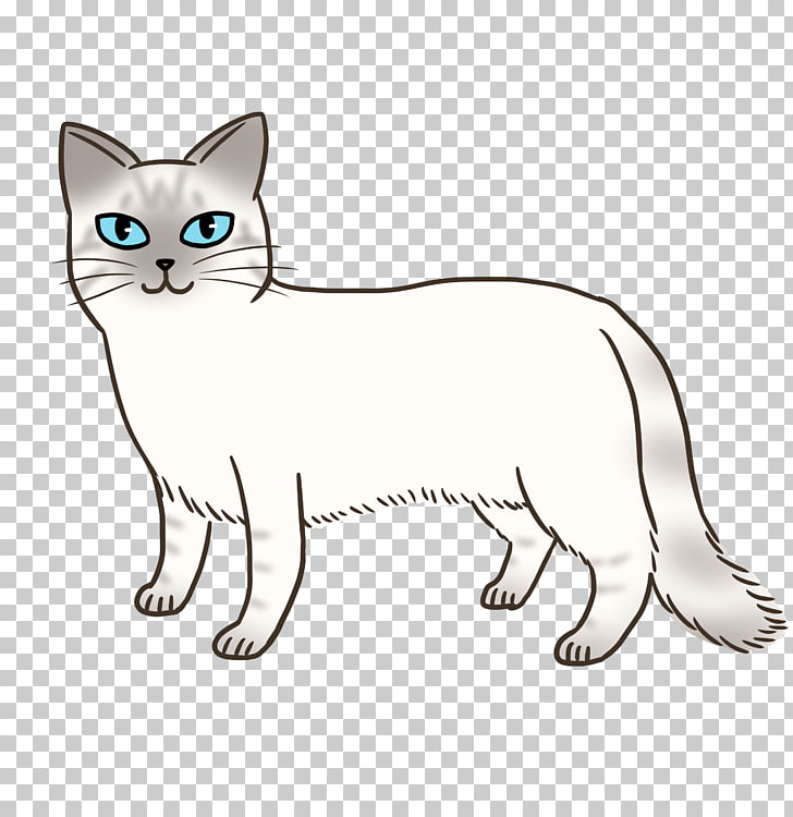 Whiskers Balinese Cat Kitten Domestic Short Haired Cat Tabby Cat
