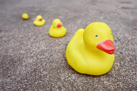 four yellow rubber duckies on ground during daytime thumbnail