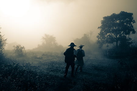 two person walking near forest covered by fogs thumbnail