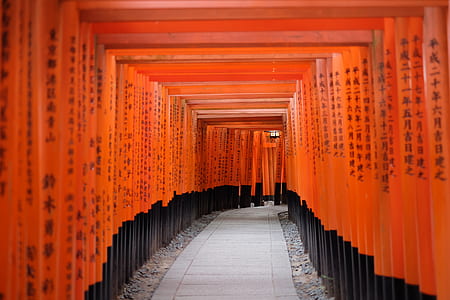 photo of gray pathway between orange walls thumbnail