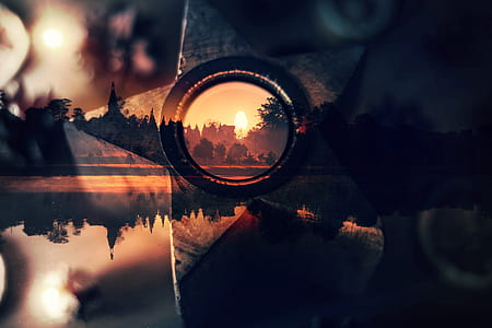 selective focus photography of trees at golden hour thumbnail