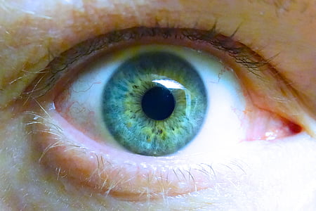 selective focus photography of human eye thumbnail