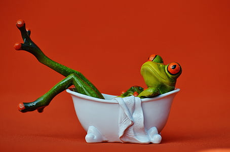 frog in bathtub thumbnail