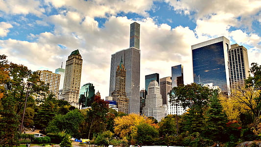 Central Park New York thumbnail