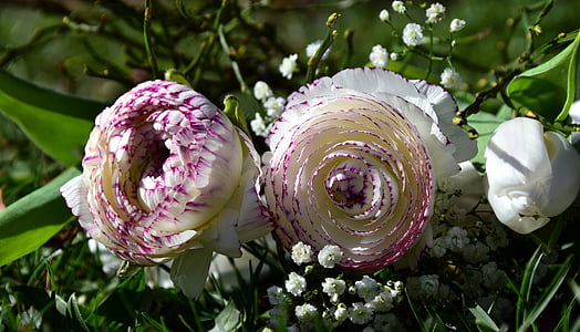 shallow focus of white and purple flowers thumbnail