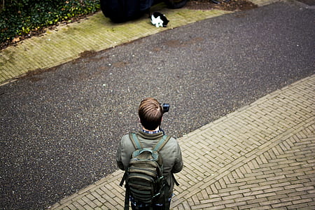 person staring at white and black cat thumbnail