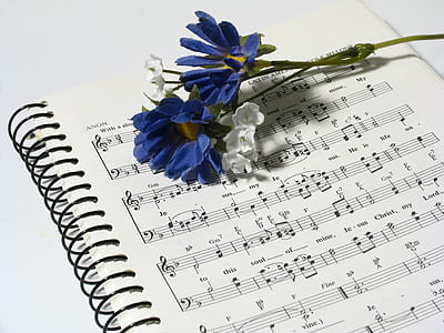 white and blue petaled flower on musical note thumbnail