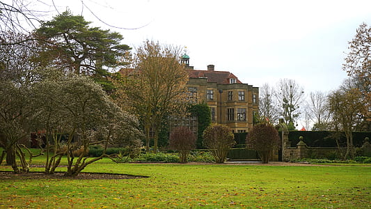 landscape, garden, trees, countryside thumbnail