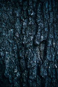 wood, nature, dark, pattern thumbnail